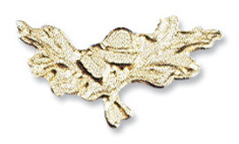 Artikel in "Gold"